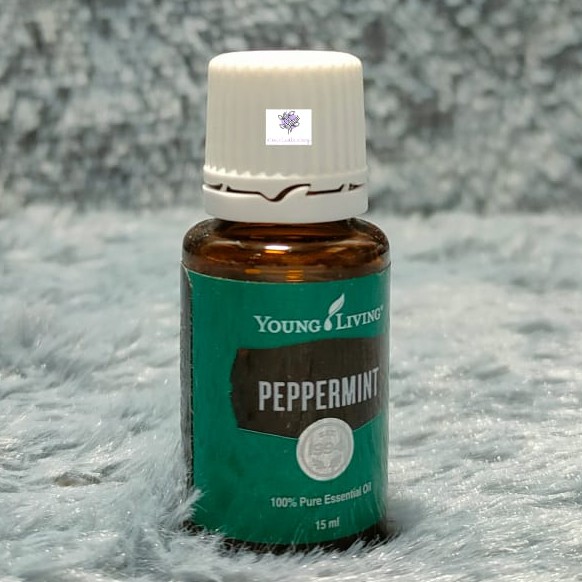 YL YLEO Peppermint Essential Oil 15ml