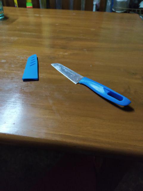 Pisau Buah/pisai Sayur/pisau Sarung