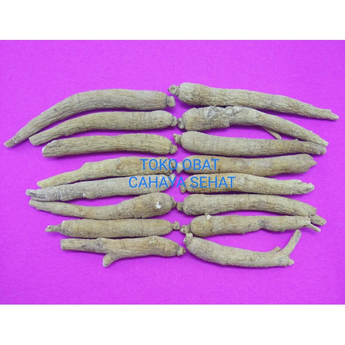 OBAT HERBAL GINSENG AMERIKA/YIU SIM/HUA QI SEN(STAMINA,NAFSU MAKAN)37g