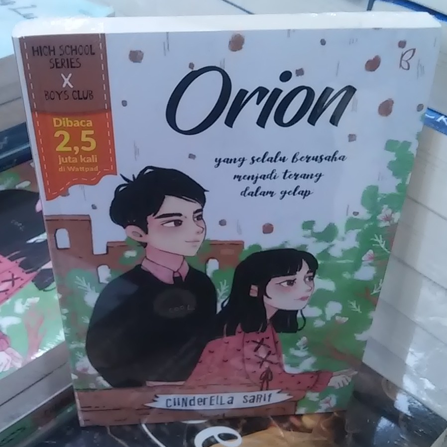 Novel ORION : HIGH SCHOOL SERIES - Cinderella Syarif