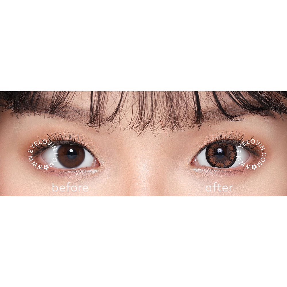 EYELOVIN Softlens Holicat - Cutie Brown