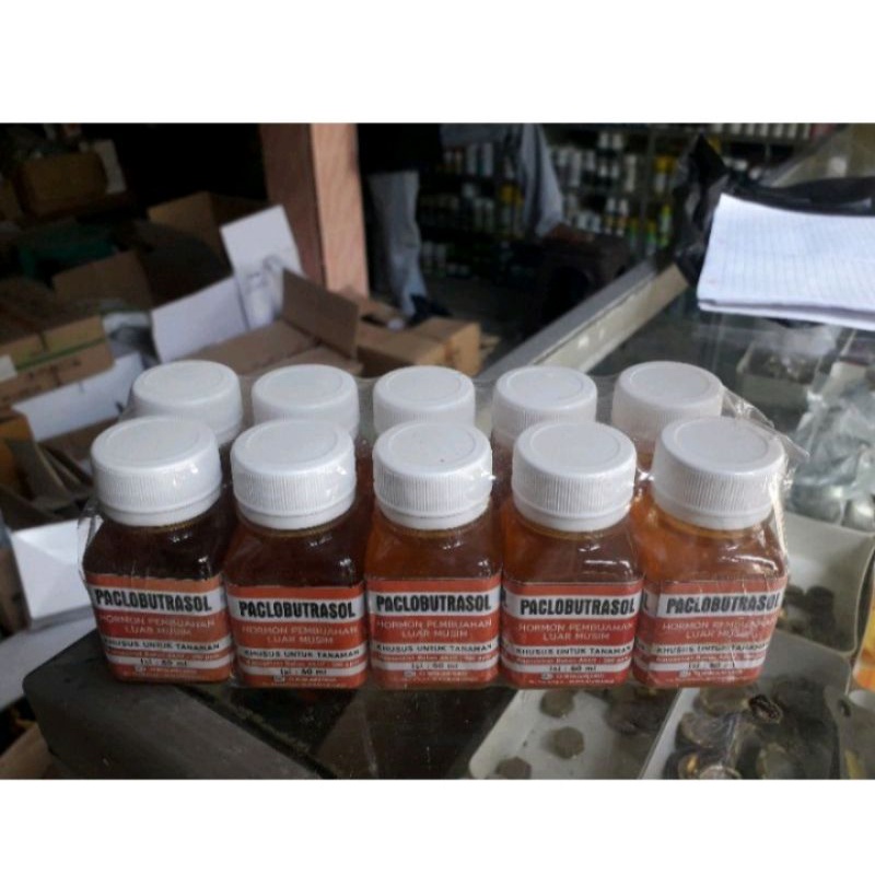 HORMON PACLOBUTRAZOL