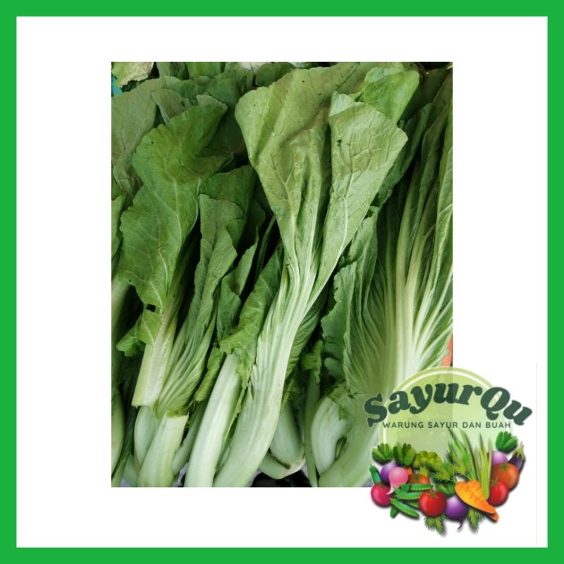 

Sawi Pahit 1 Kg - Sayur Segar Bekasi