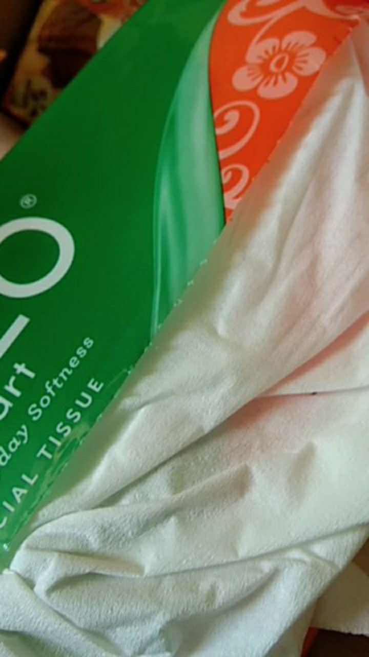 Tissue (tisu) Paseo Smart 250s