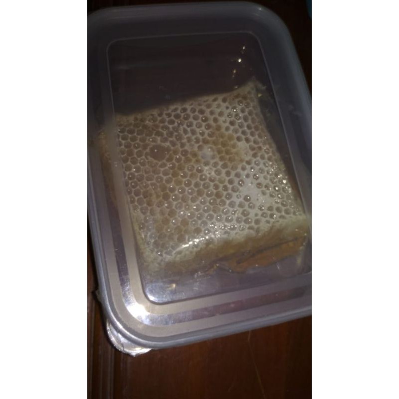 

Sarang Madu asli