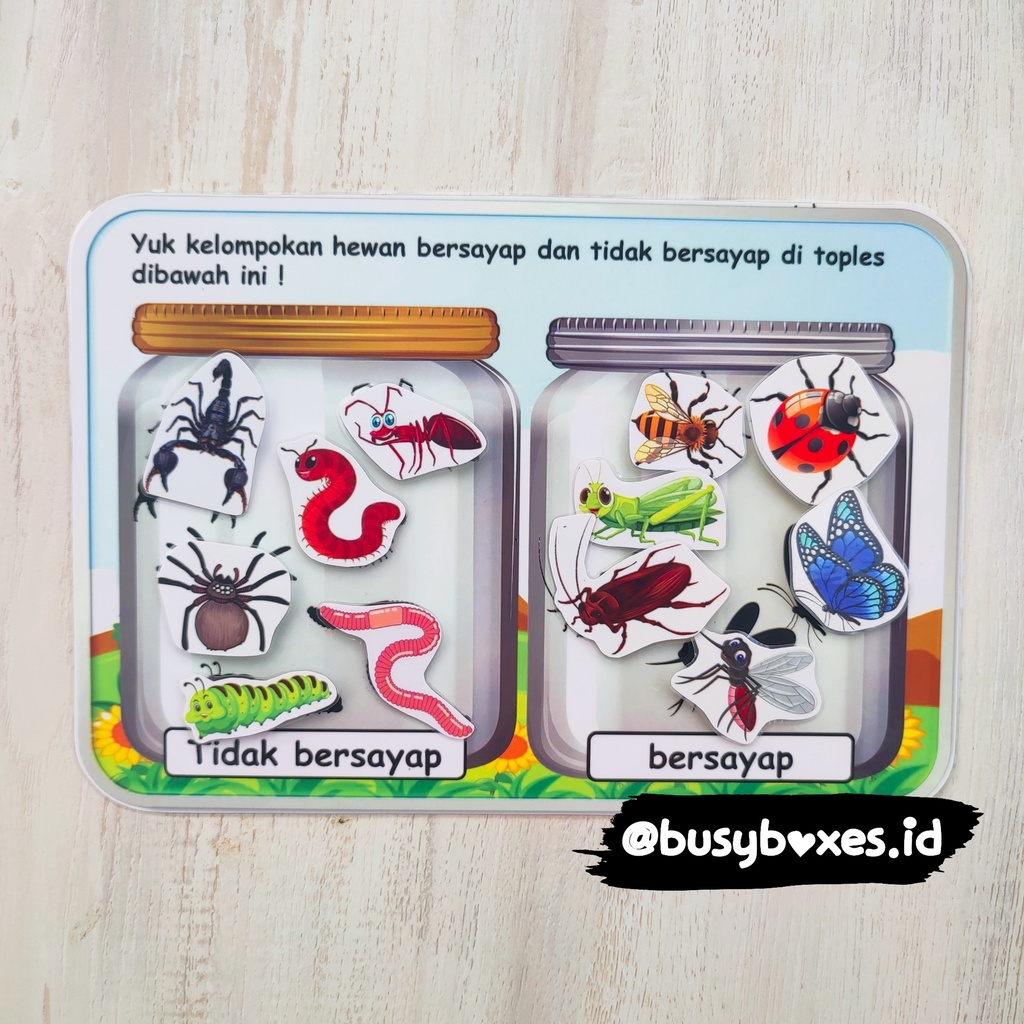 [busyboxes.id] busy page memisahkan hewan bersayap mengenal nama hewan mainan edukasi serangga paud