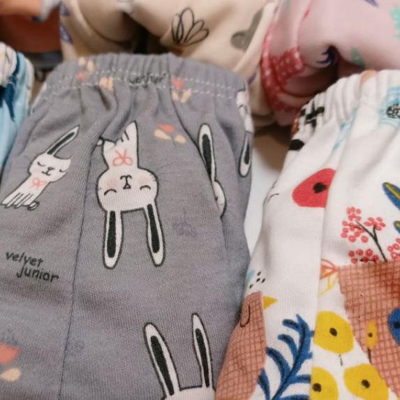 7 Pcs Celana Dalam Anak Velvet Junior / CD Anak Motif