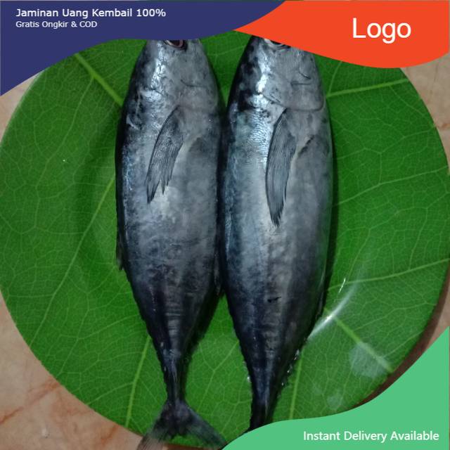 

Ikan tongkol @1kg isi 4-5