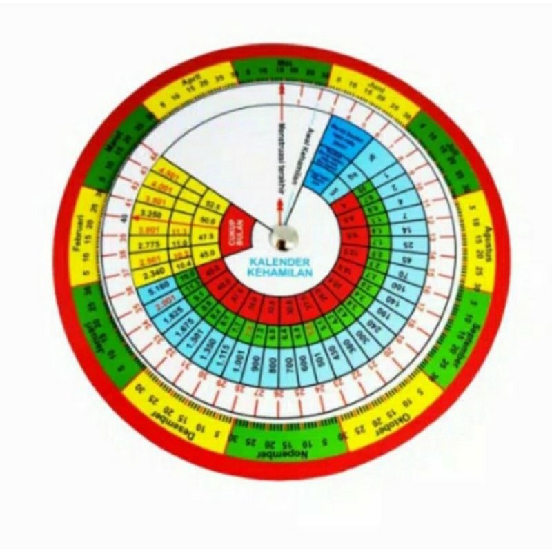 

kalender kehamilan putar