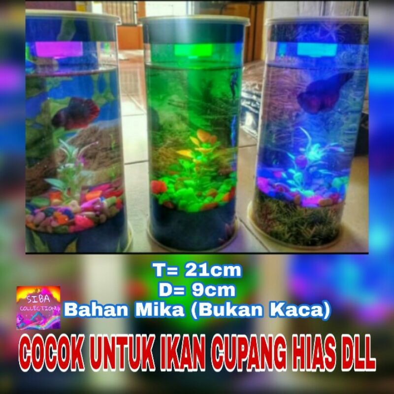 Aquarium Akuarium  Ikan  Cupang Guppy  Mini Tabung Full 