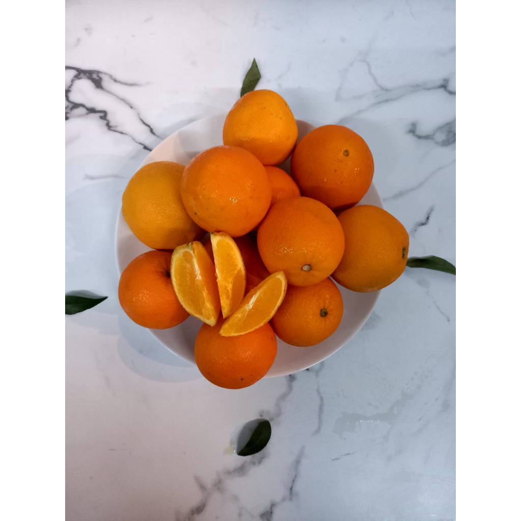 

TBS.ID - Jeruk Navel Australia