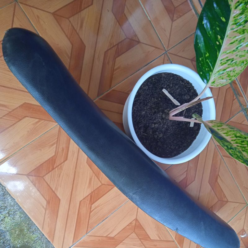 jok, tulang jok original astrea prima asli copotan