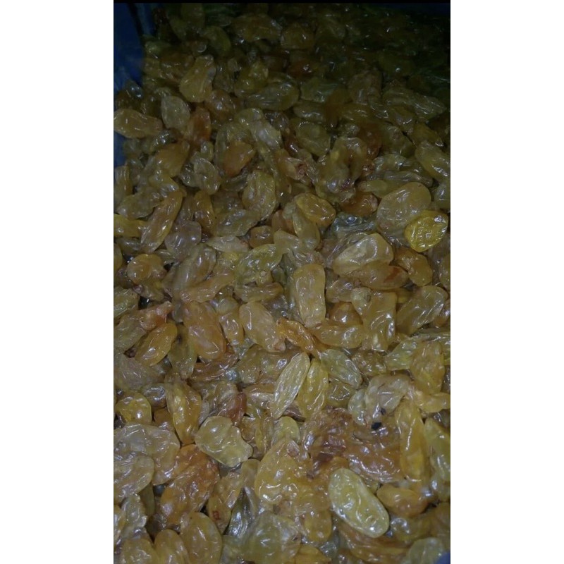 

KISMIS GOLDEN IMPORT / KISMIS KUNING / GOLDEN RAISINS (REPACK) 100 GR