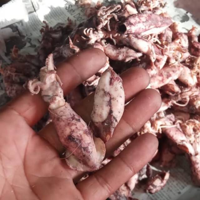 

Cumi asin kering