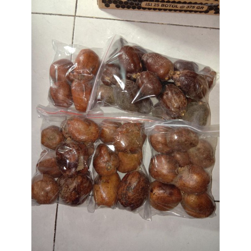 

Buah zuriat