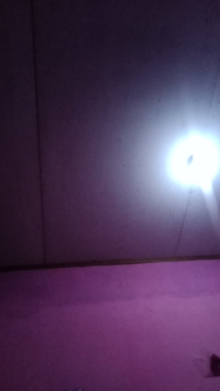 Vixal Pembersih Kamar Mandi 470 Ml