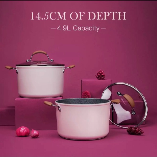 Carote Casserole Stockpot Stock Pot Sauce Pan size 22 Bio Pink