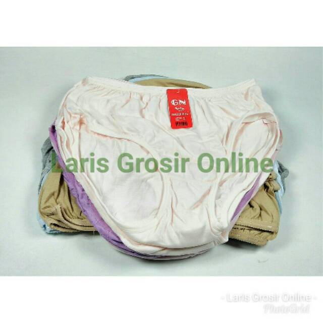  GROSIR  Lusinan 12 pcs Celana  Dalam  Golden  Nick  937 