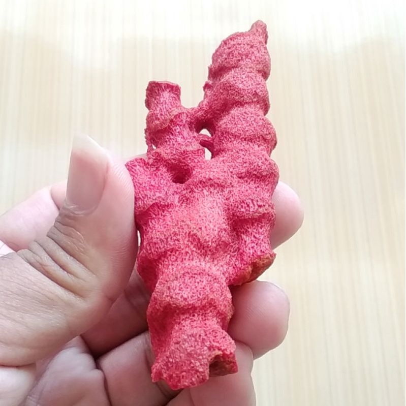 Bahan Rough Batu Natural Red Coral / Marjan Merah Karang Laut Murah 05