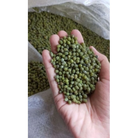 kacang ijo 1kg/kacang ijo kualitas bagus/kacang hijau