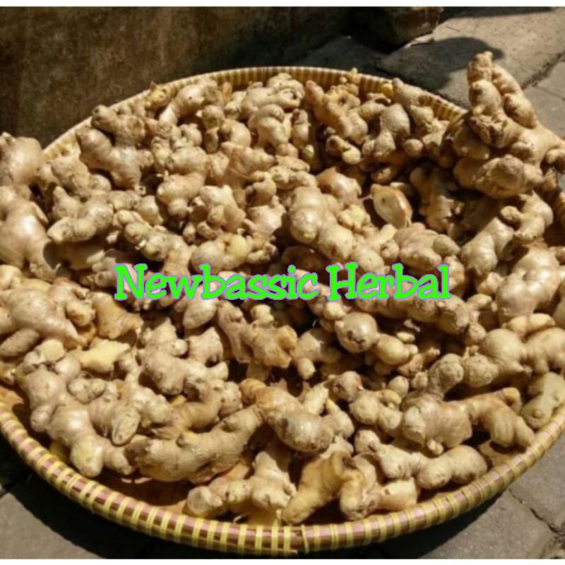

paket 10kg jahe emprit