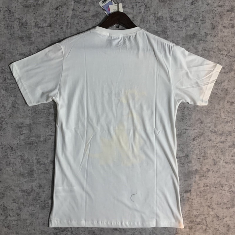 kaos Zara white lion