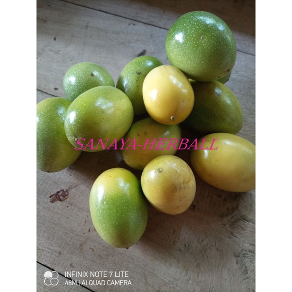 

buah konyal saprola segar 1kg