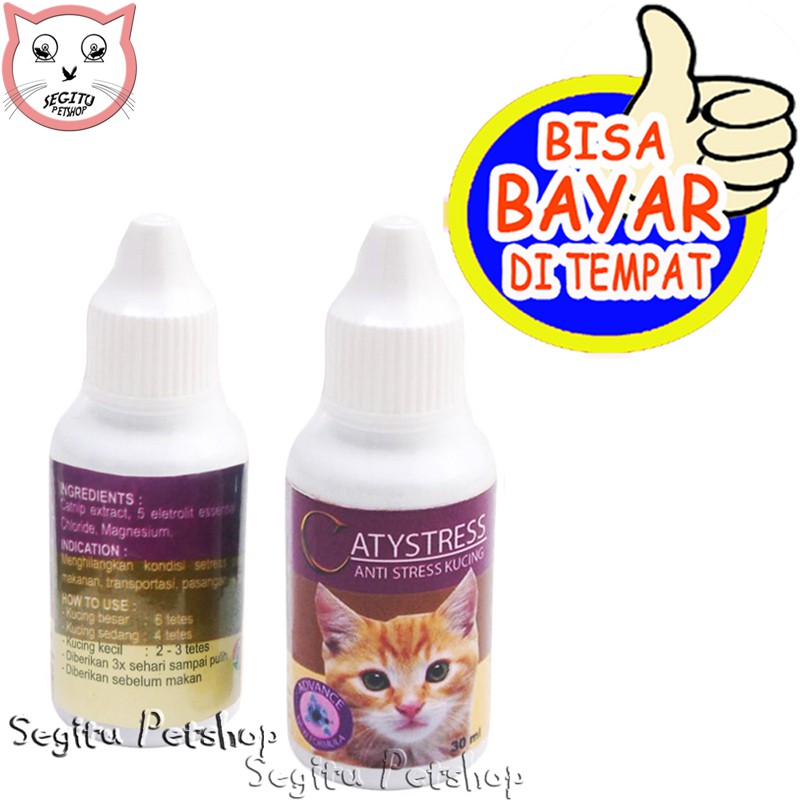 Obat kucing Antistress