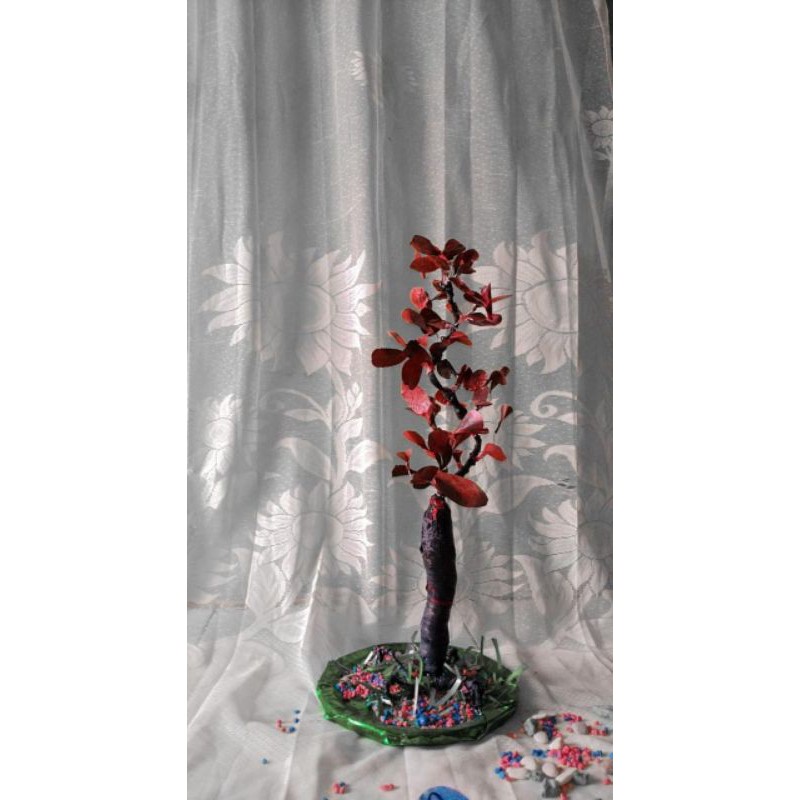 

handycraft_daunbonsai