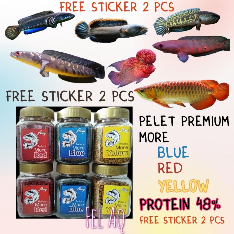 Pellet More Blue Red Yellow Special Channa Predator Pelet Premium Pakan Ikan Louhan Arwana Pulchra B