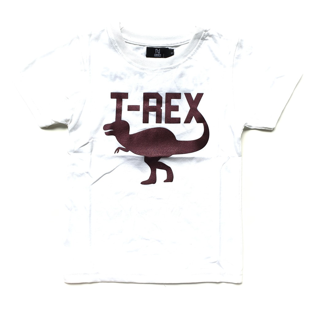 Kaos Anak Laki Fashion TYRANNOSAURUS ANIMAL PLANET (2 warna)