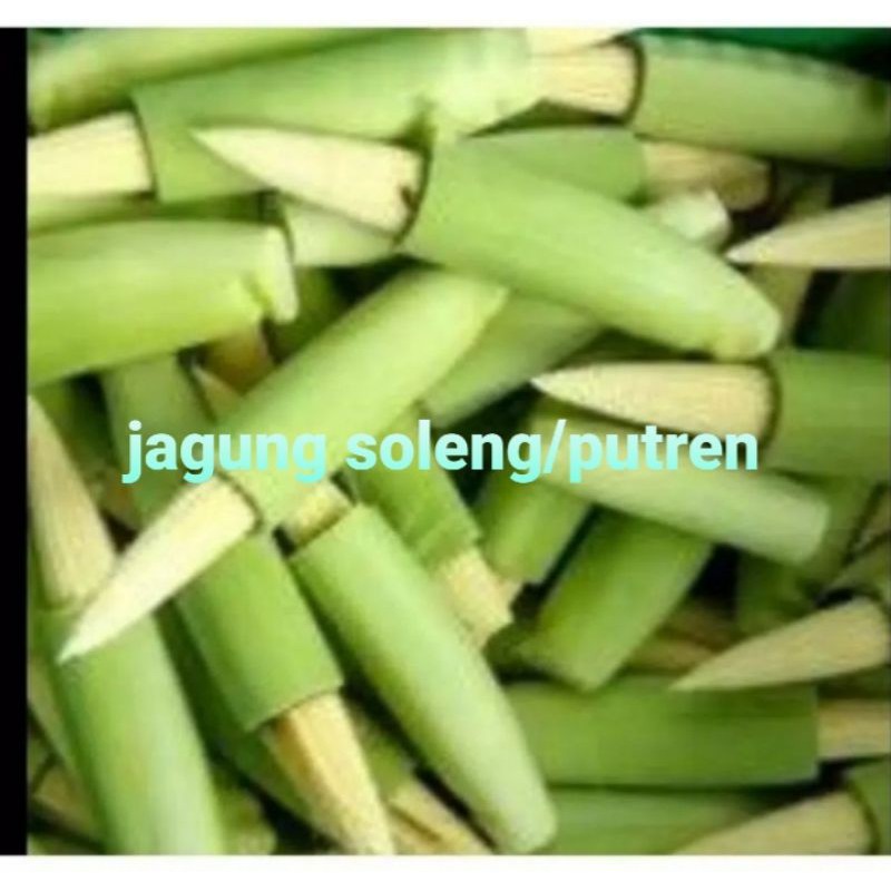 

JAGUNG MUDA/SOLENG;250GRM