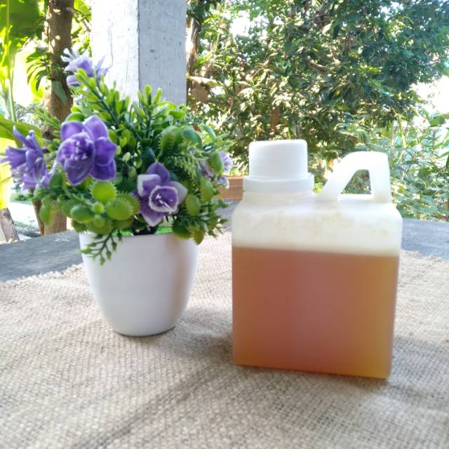

Madu Hutan 500gram