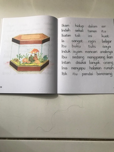 Praktis membaca 3B