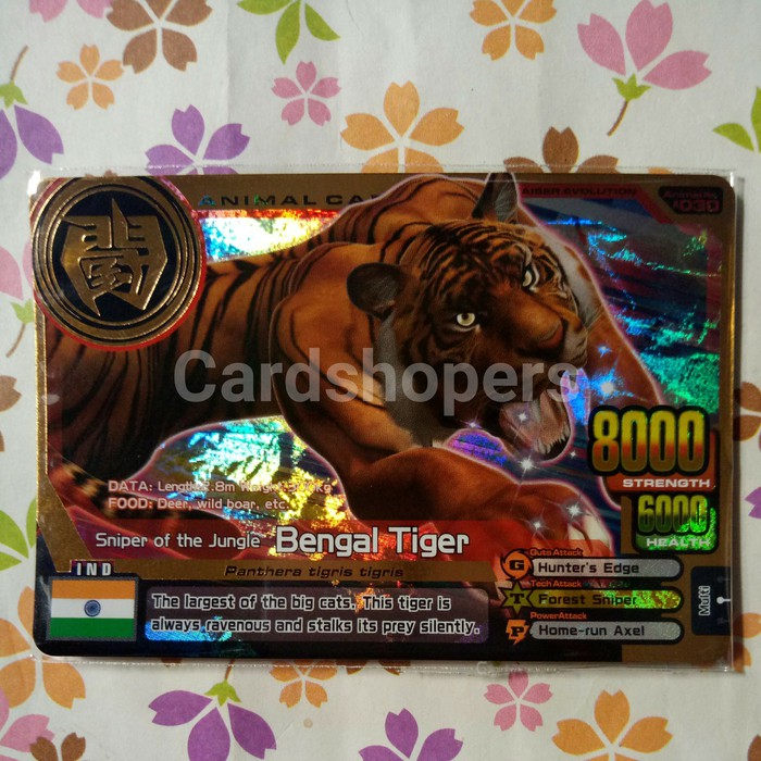animal kaiser super gold rare bengal tiger
