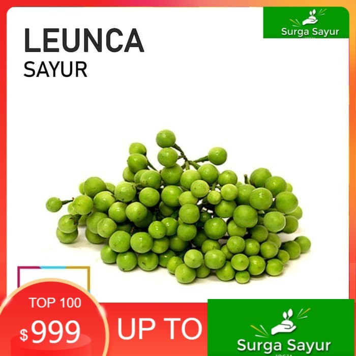 

SURGA SAYUR LEUNCA SAYUR [100g] SEJABODETABEK BISA INSTANT MENGGUNAKAN GOSEND &GRAB.