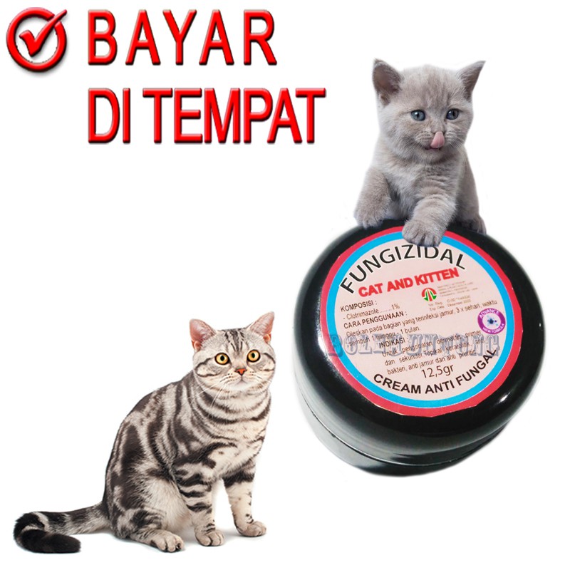 FUNGIZIDAL CREAM ANTI JAMUR KUCING SALEP ANAK KUCING KECIL