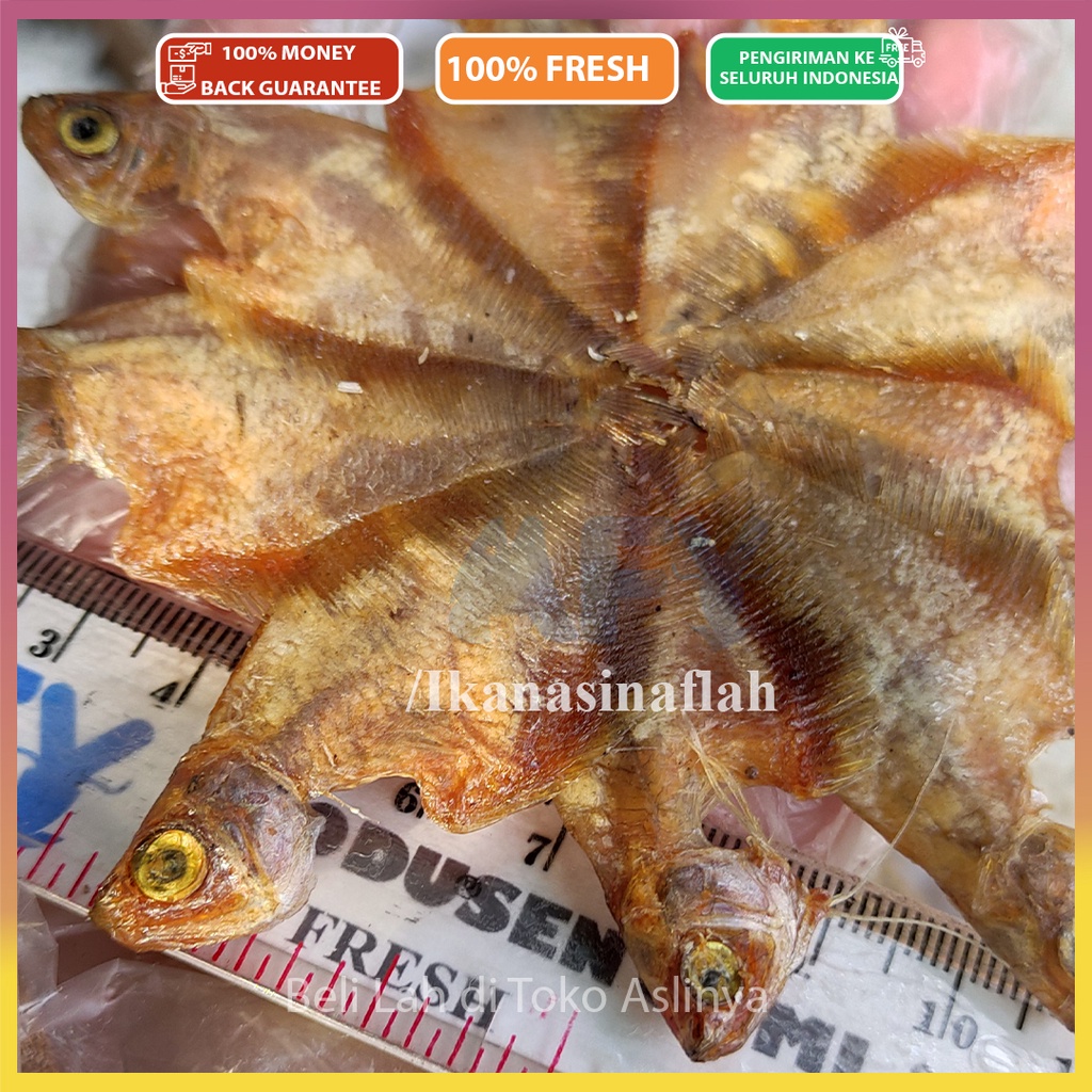 

PROMO Ikan Asin Sepat Tawar 1kg & 500Gr / Sepat Ralis Bunga Mentah Siap Masak