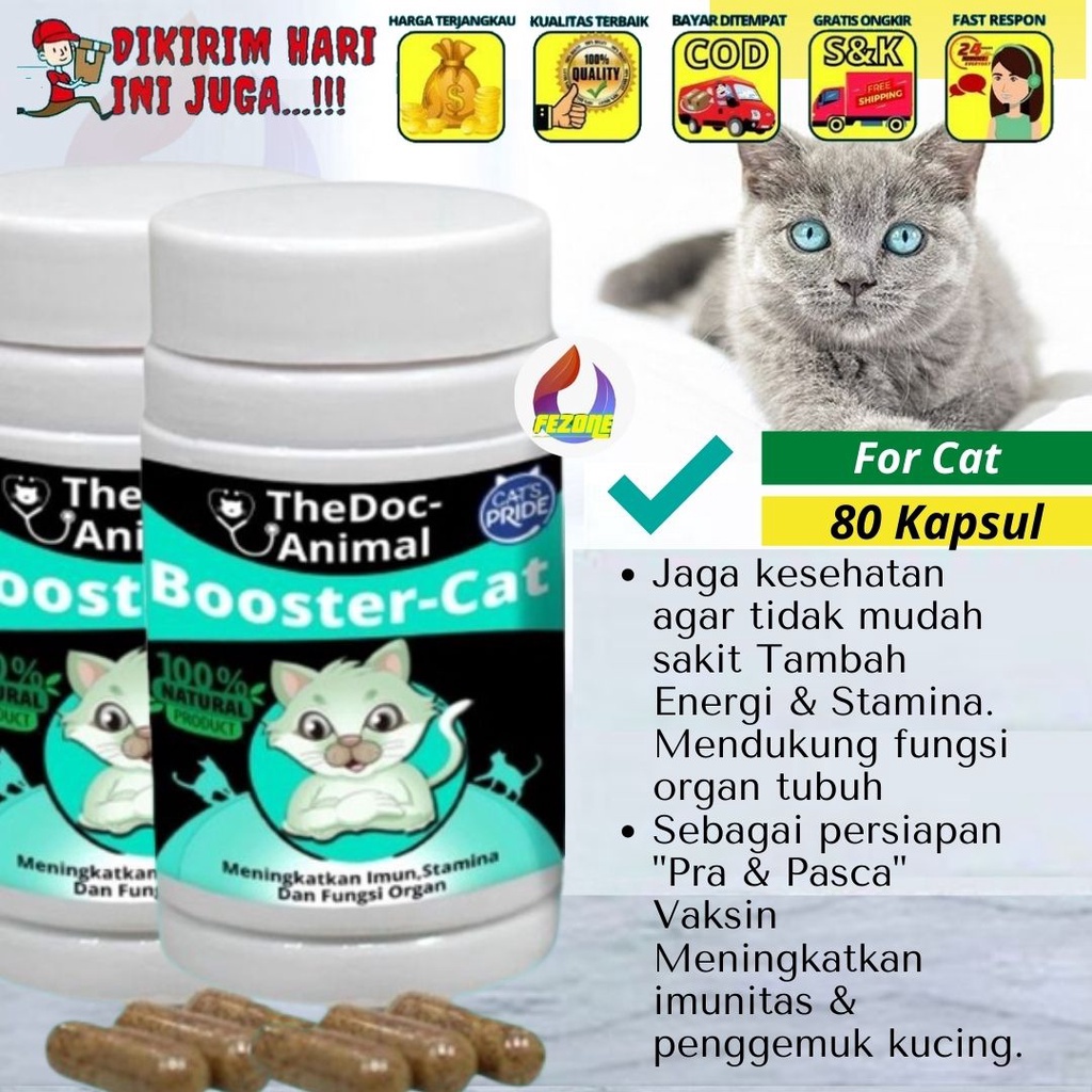 Vitamin Kucing Imunitas, Stamina BOOSTER CAT FEZONE