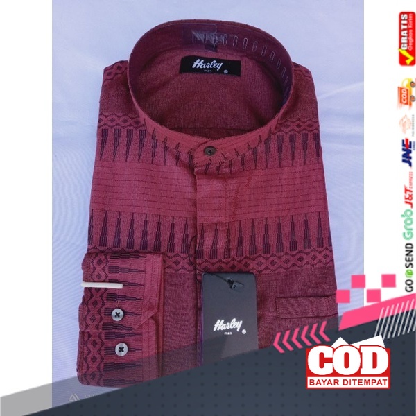 Koko Harley Kemko Harley