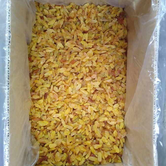 

Kismis Gold 1 Kg Premium Quality Golden Raisin Oleh oleh Haji Umroh