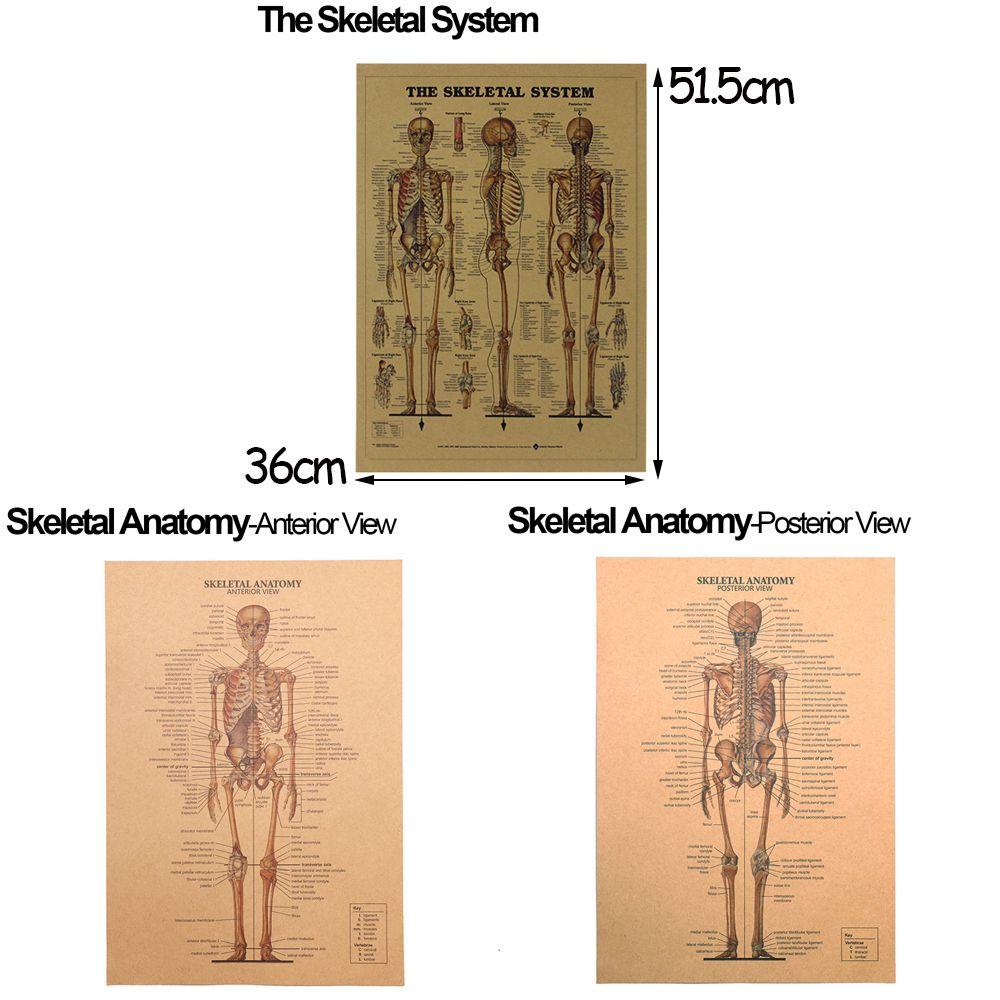 Populer 1pc The Skeleton System DIY Dekorasi Rumah Mural Retro Poster