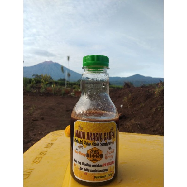 

Madu Murni 100% Asli Hutan Akasia Carpa Lebah Mellifera 250 gr