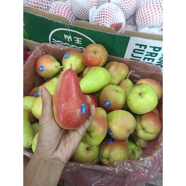 

BUAH PEAR FORELLE / PIR FORELLI FRESH MANIS