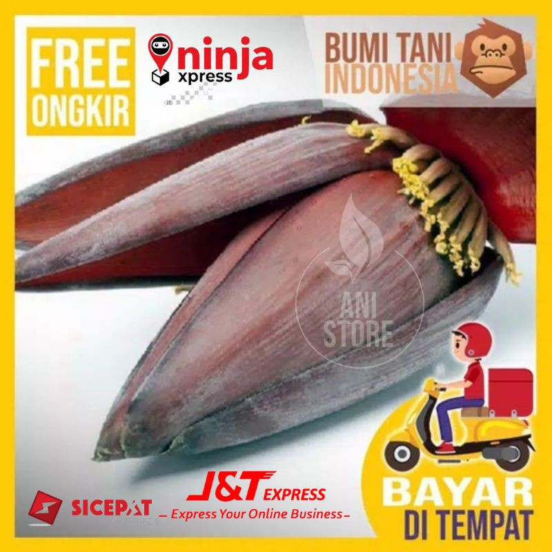 

jual jantung pisang segar 500 gram murah