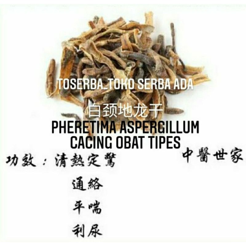 

50gr Herbal Di Long 白颈地龙 Pheretima Aspergillum Grade A