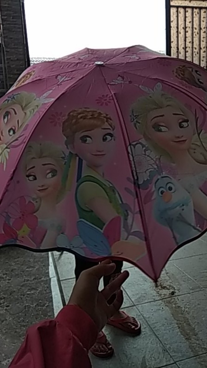 Payung Lipat 3 Nagoya Frozen Disney