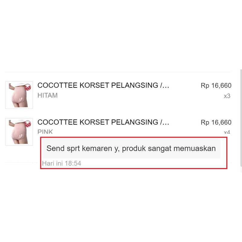 COCOTTEE KORSET PELANGSING / CELANA DALAM STAGEN