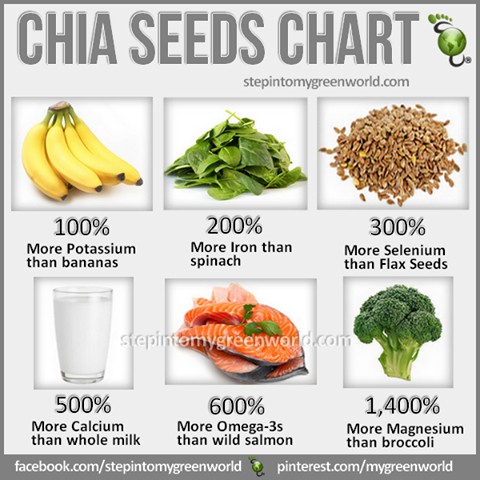 

Terlaris! 1gr Organic B Chia Seeds - Biji Chia Hitam Organik - USDA Certified Organic