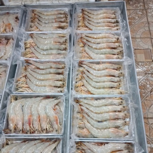 

Udang Jerbung 31-40 udang putih/peci